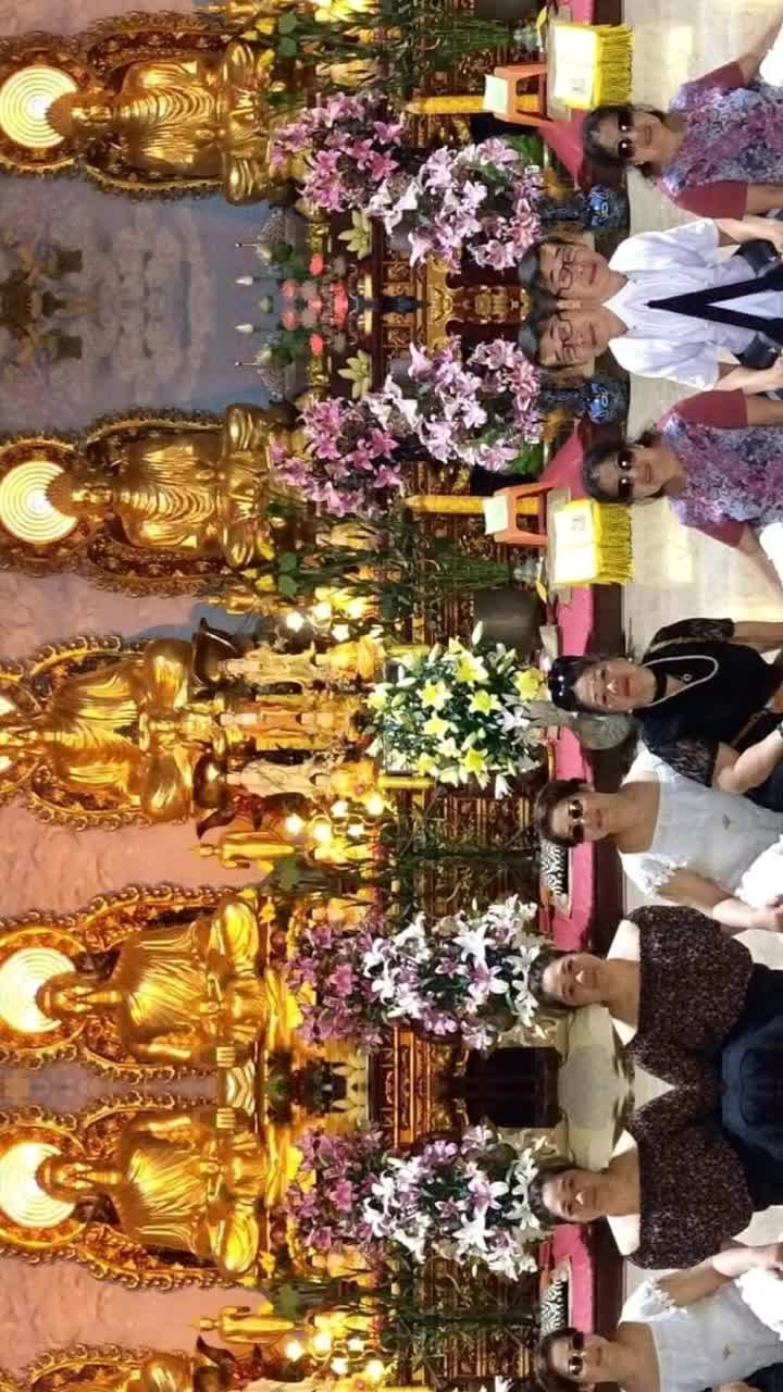 @Bạch yến ho&agrave;ng
