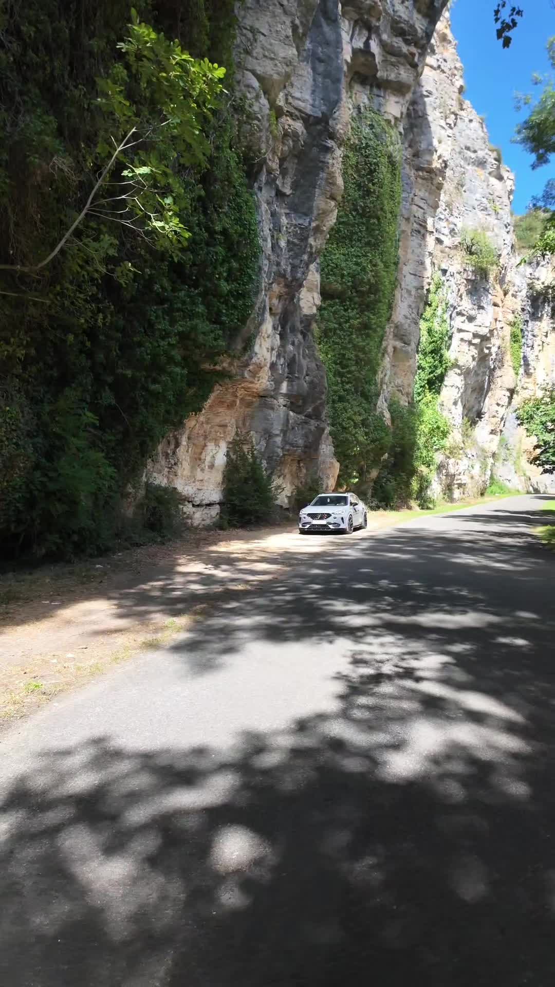 @LionCuprAFormentor