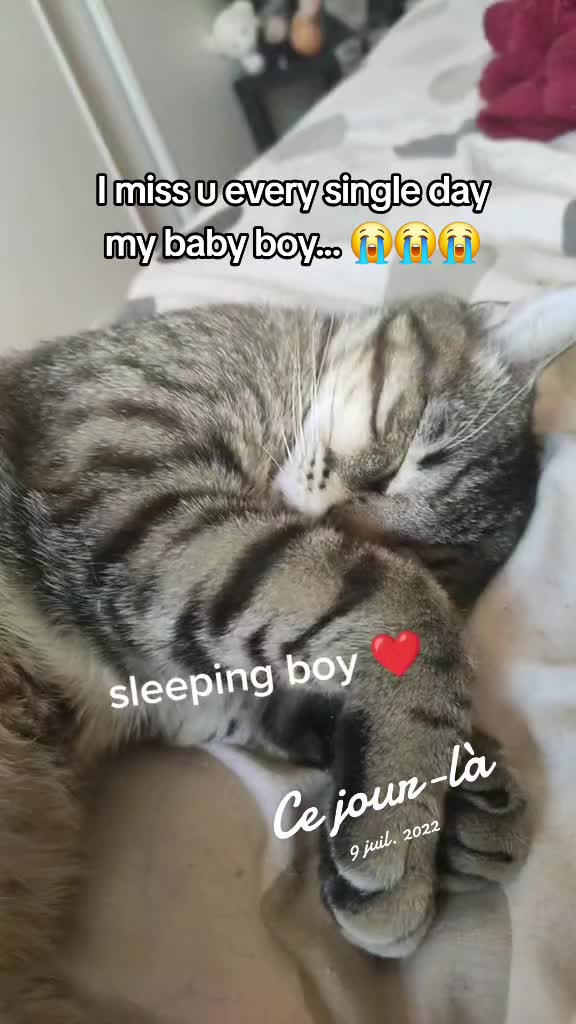 @kayaggy