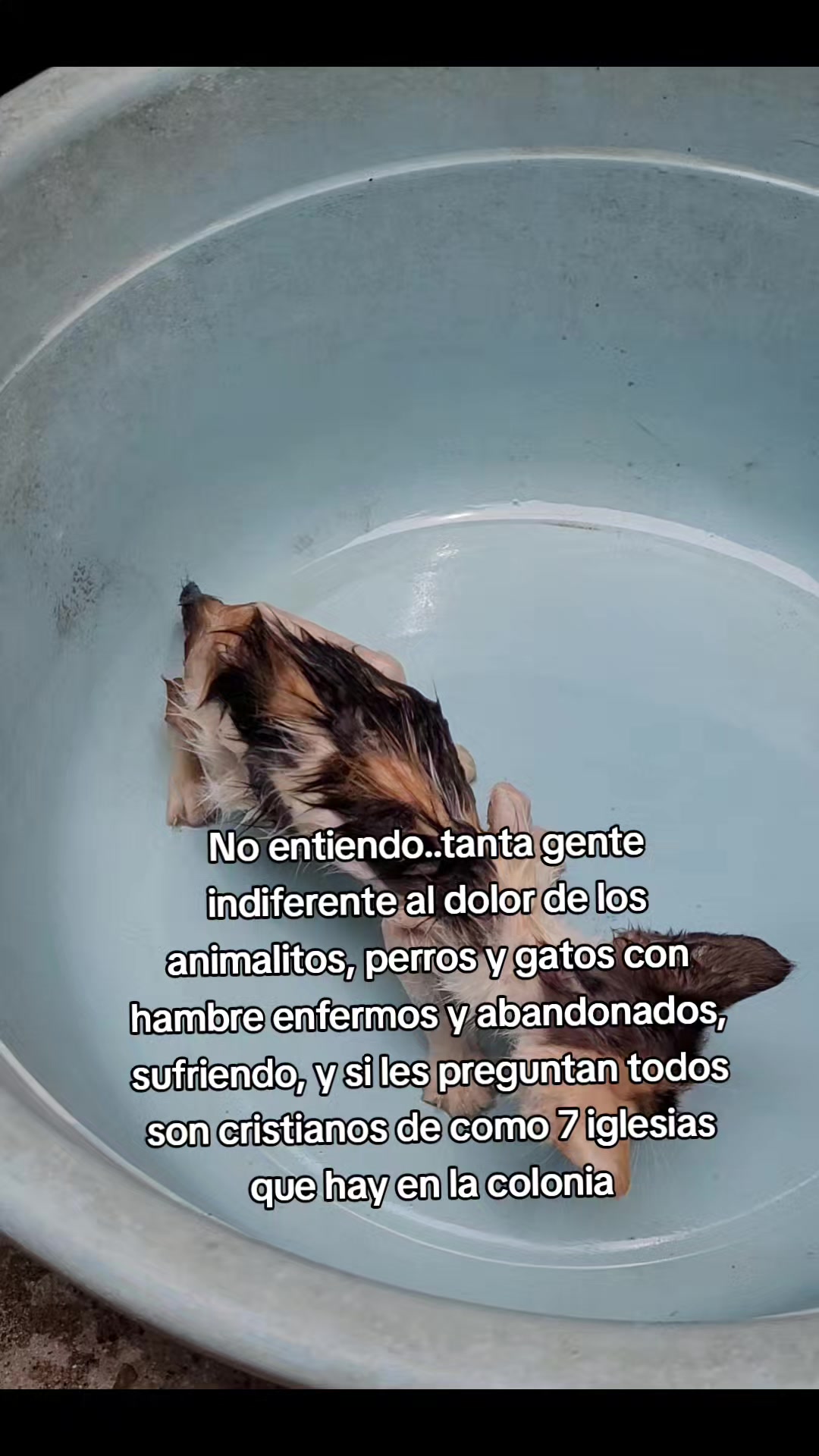 @𝕃𝕚𝕤𝕤 ℝ𝕖yes🇸🇻