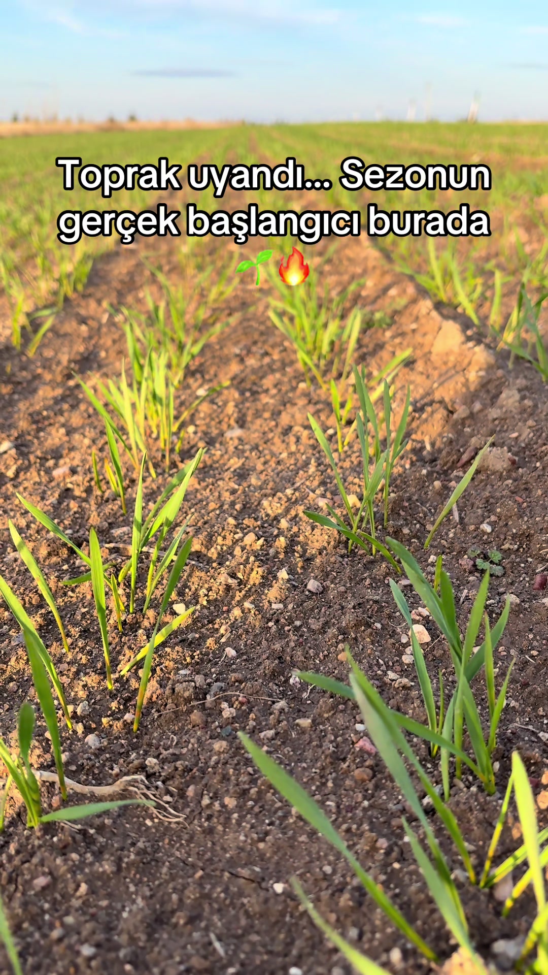 @İsmail EFE