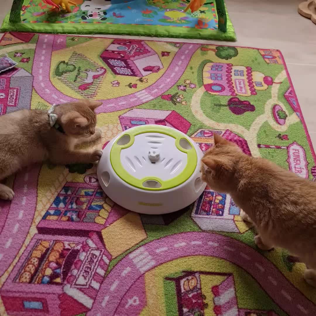 @LanaCats