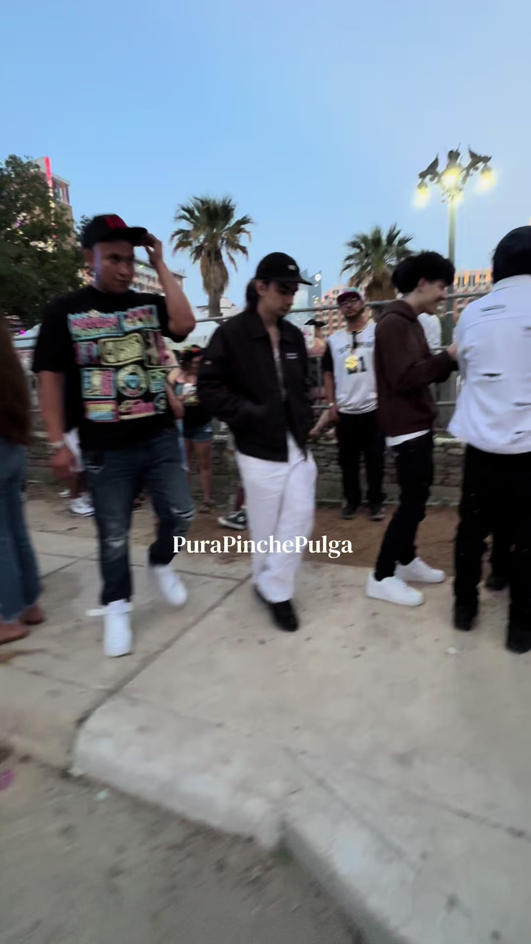 @PuraPinchePulga2