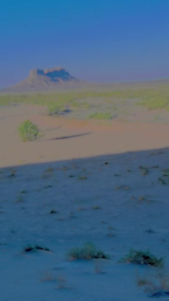 @ملک صلاح الدین محمدزی