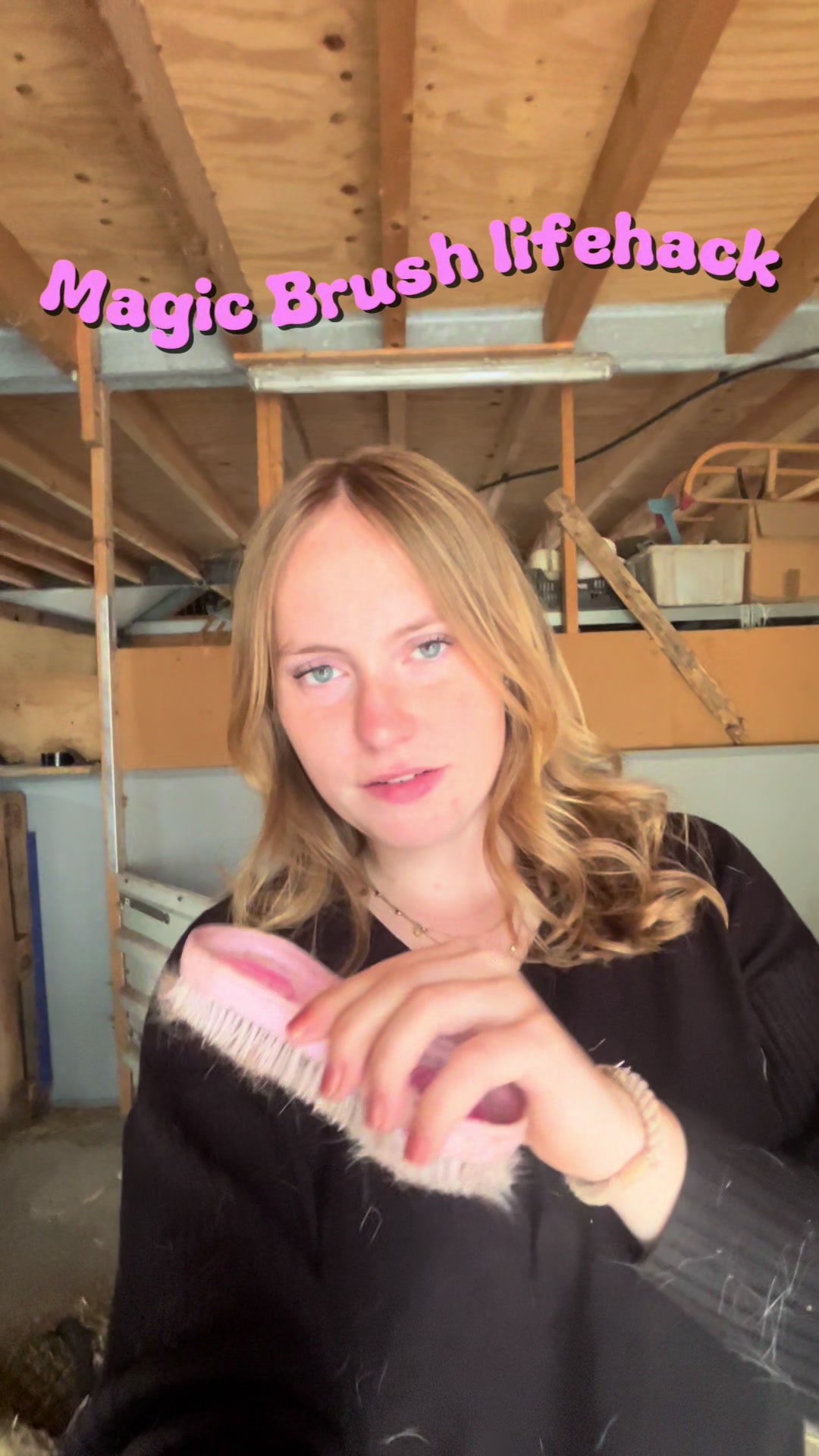 @idh_horses