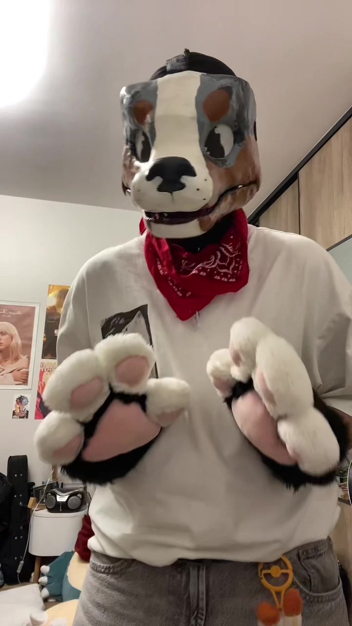 @⋆˚࿔ ☘️ 𝐓𝐫𝐞𝐟𝐥𝐞 🐾˚⋆