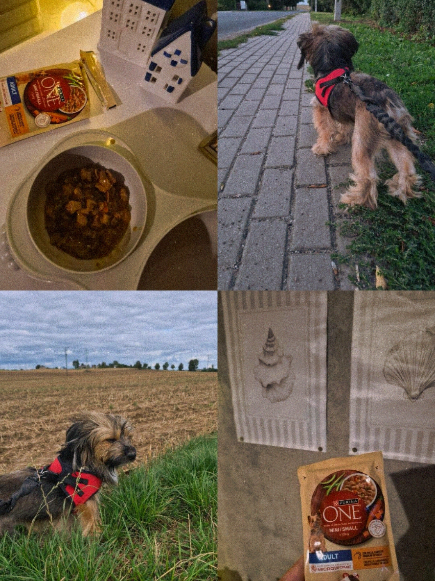 @patrycjaa.pietras