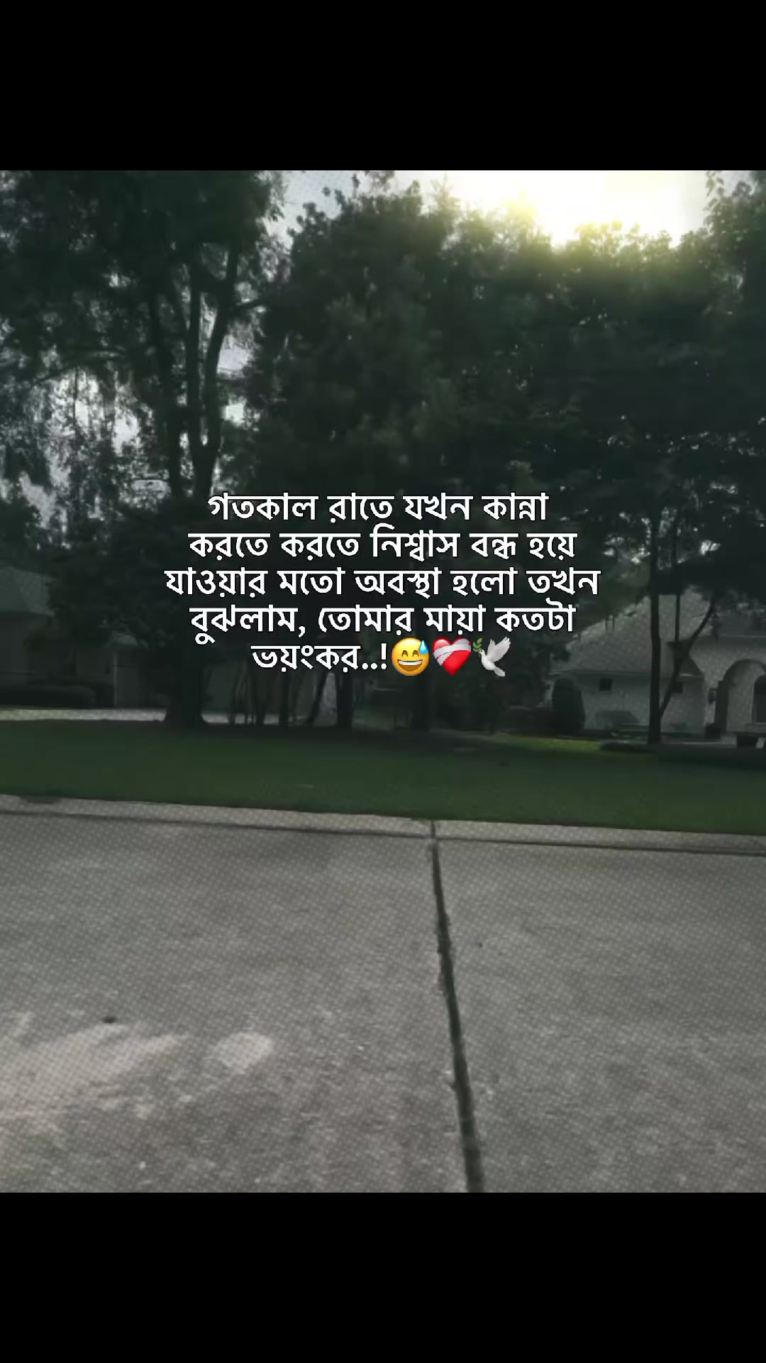@𝙈𝙞𝙟𝙖𝙣 𝘽𝙝𝙖𝙞𝙮𝙚'♡︎