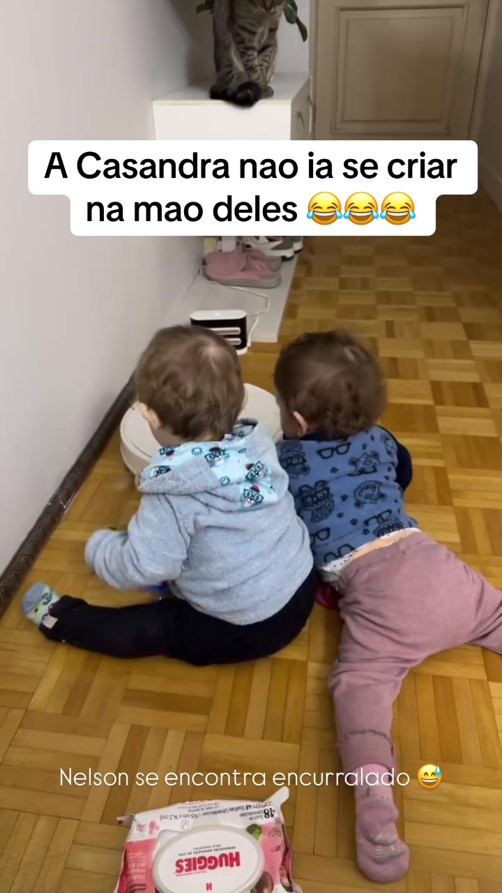 @mamaedegemeosjm