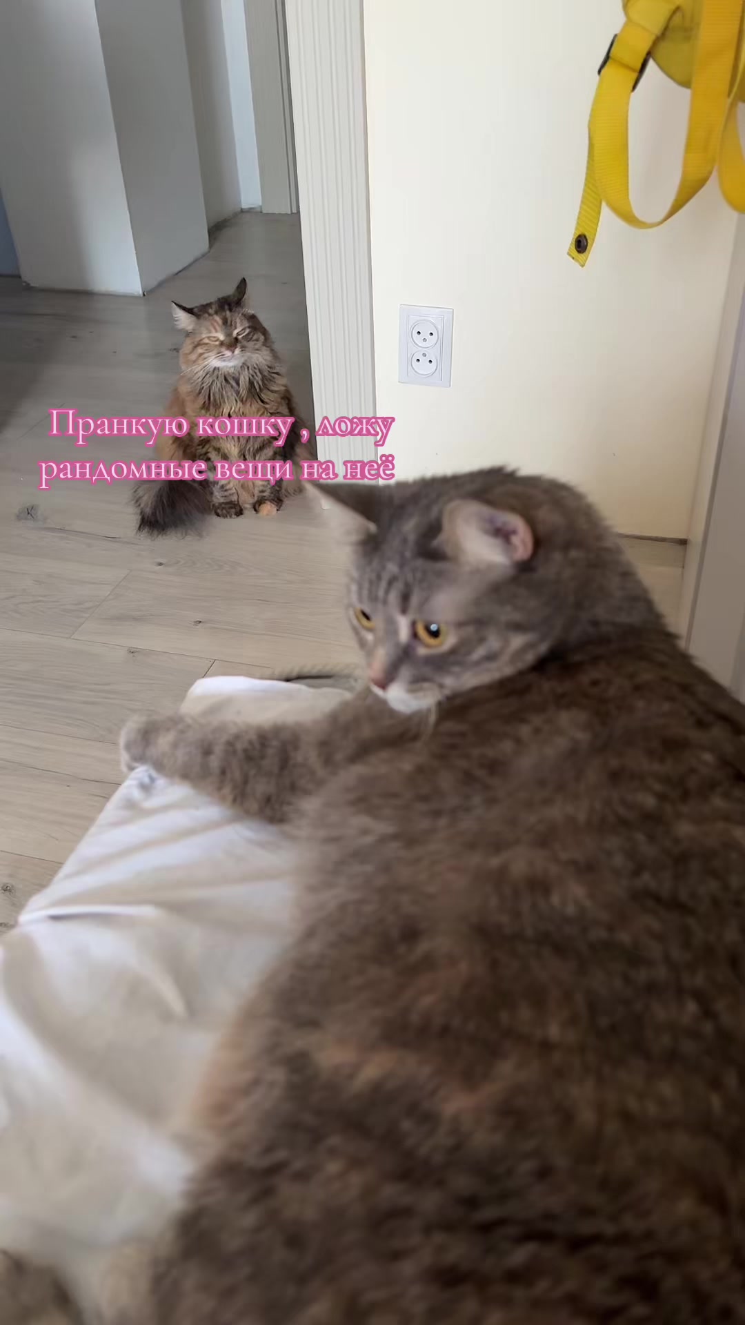 @Стейси