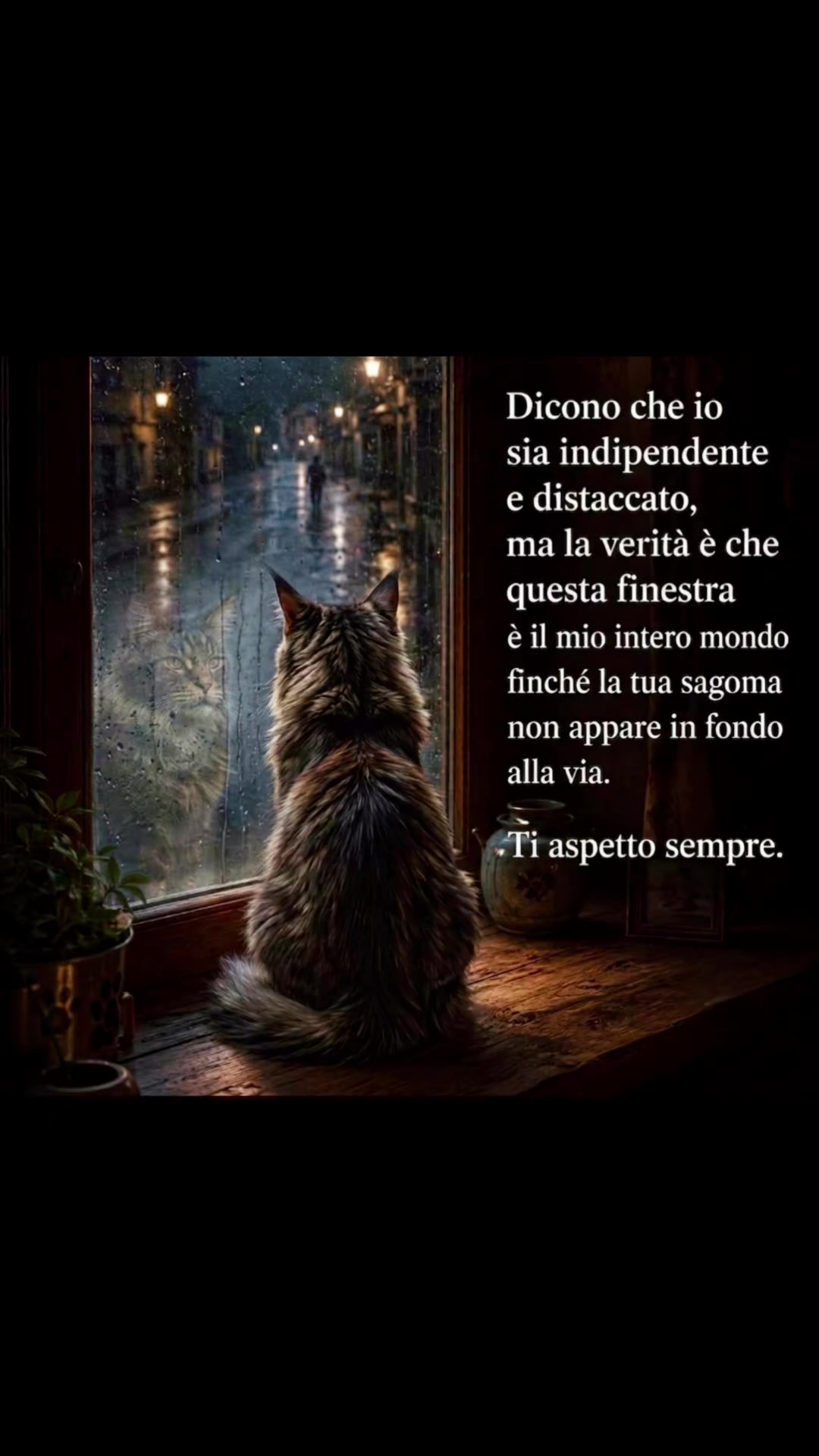 @Ale4Pets
