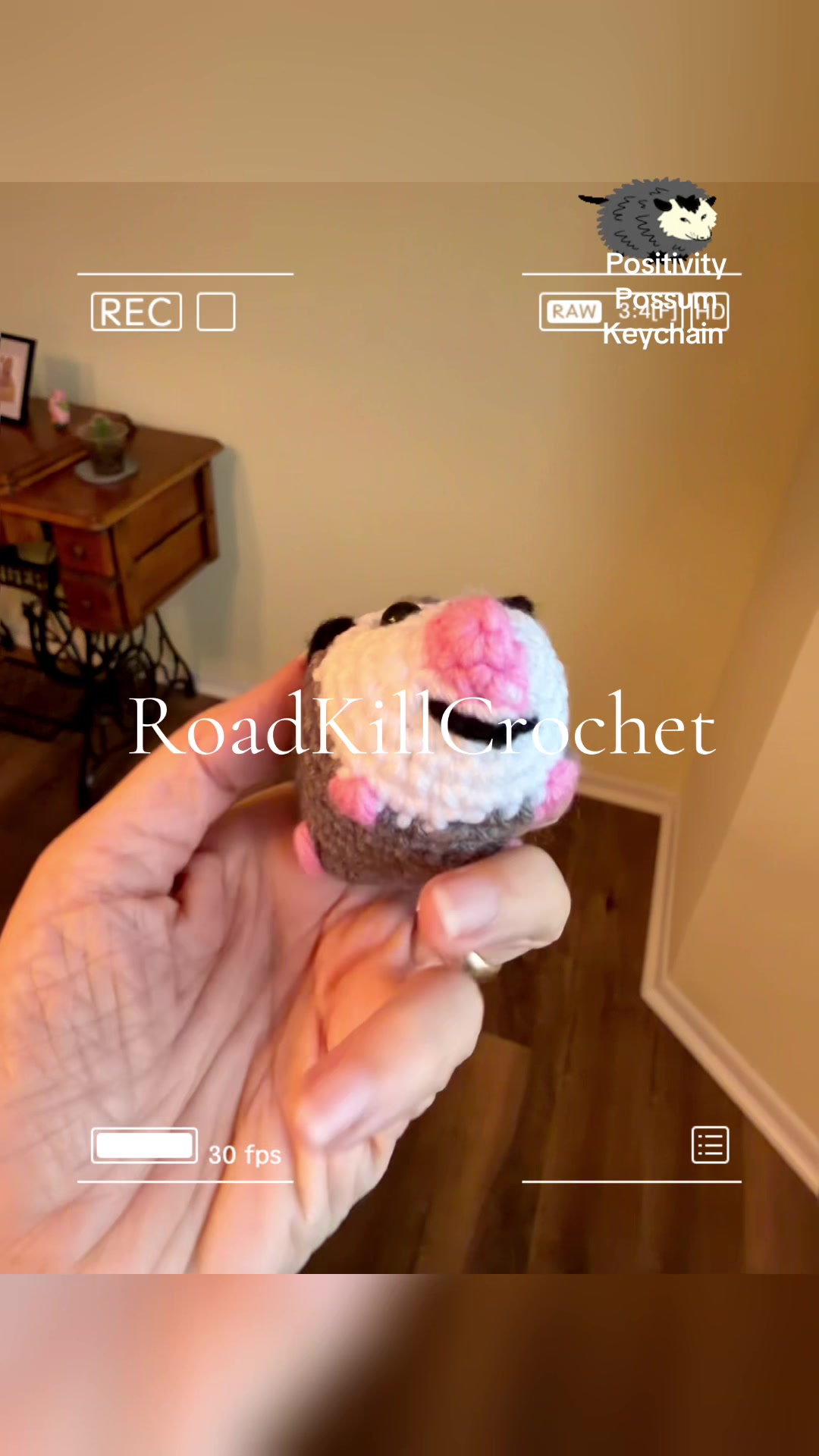 @Road Kill Crochet