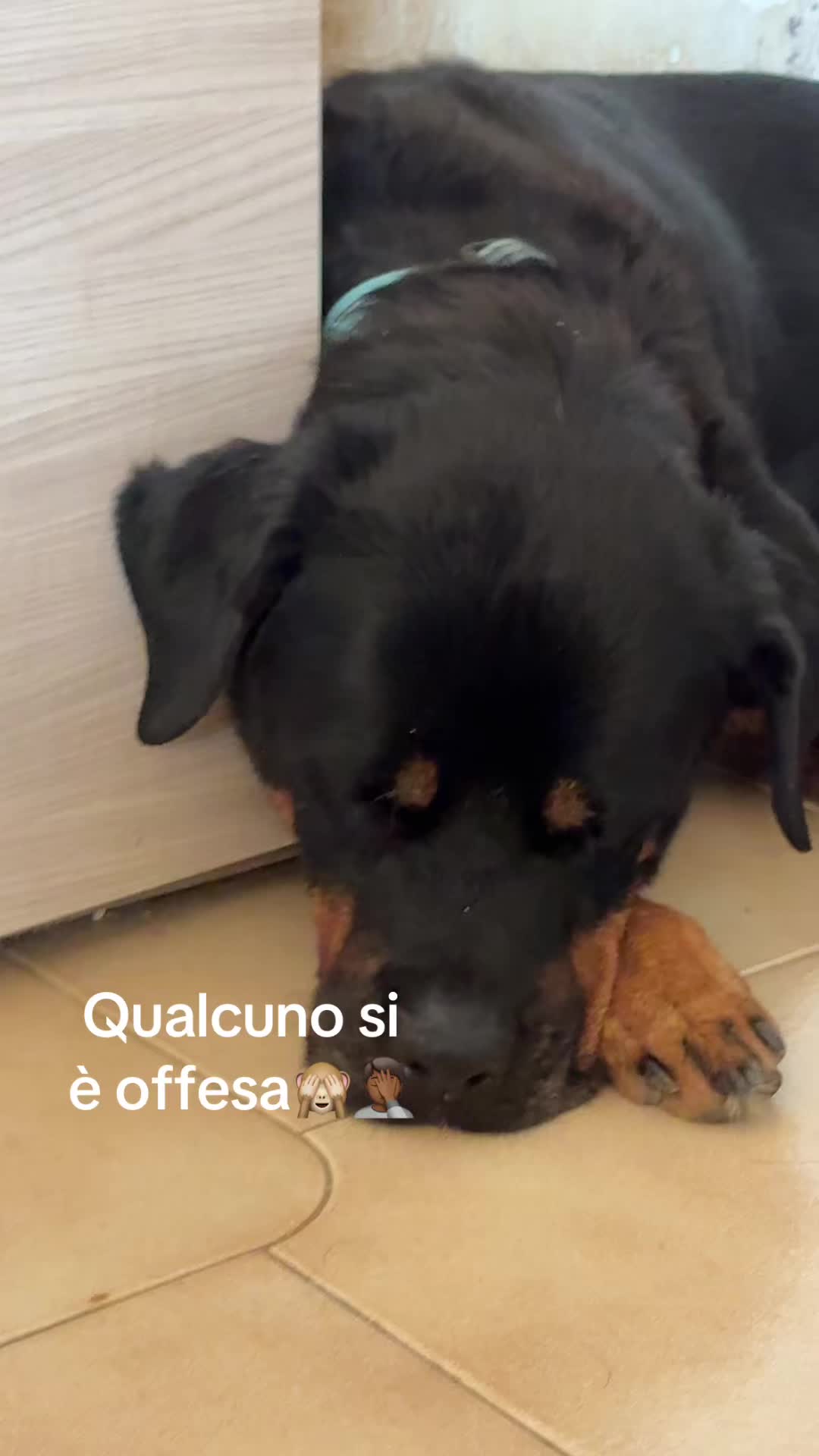 @Vanessa Librando