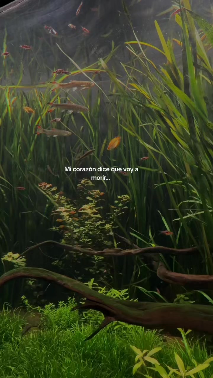 @Dany