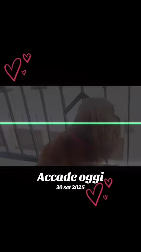 @Paola Paparella