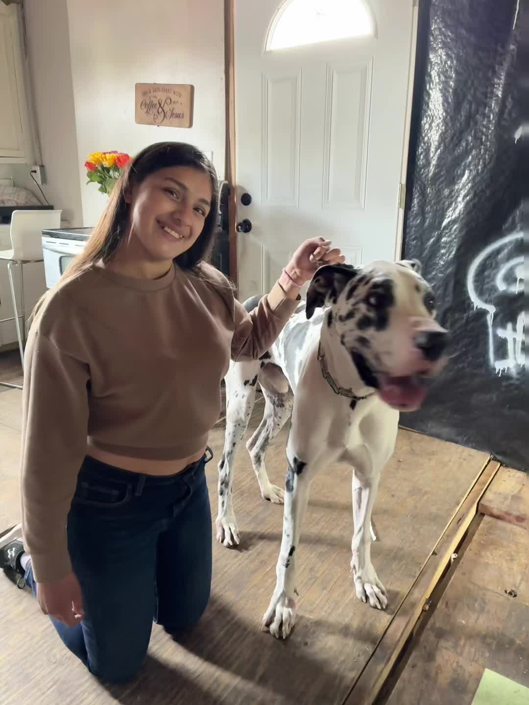 @sierra_delagarzal00