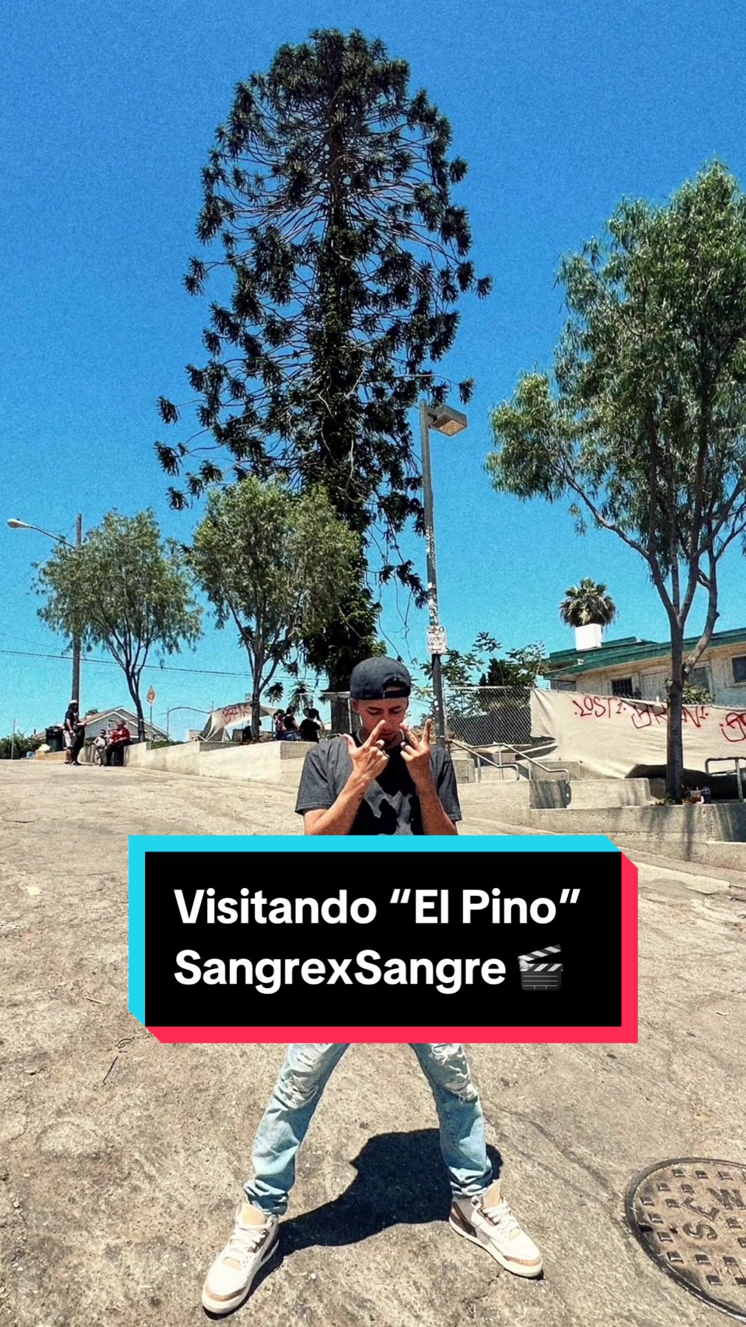 @zonicpantoja