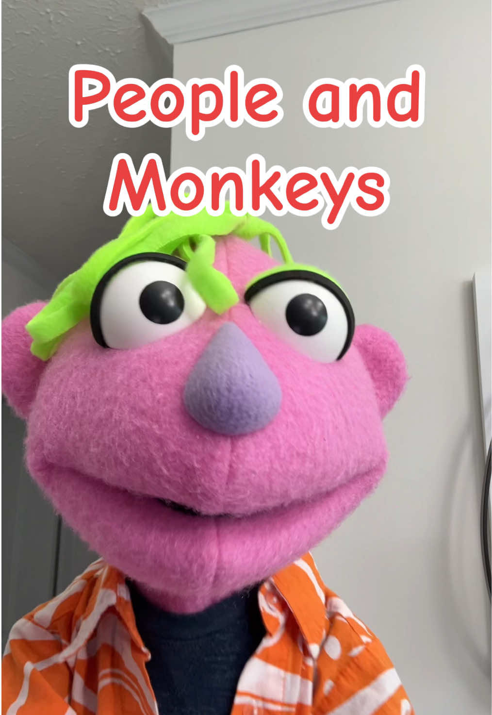 @𝘋𝘪𝘯𝘹 𝘵𝘩𝘦 𝘗𝘶𝘱𝘱𝘦𝘵