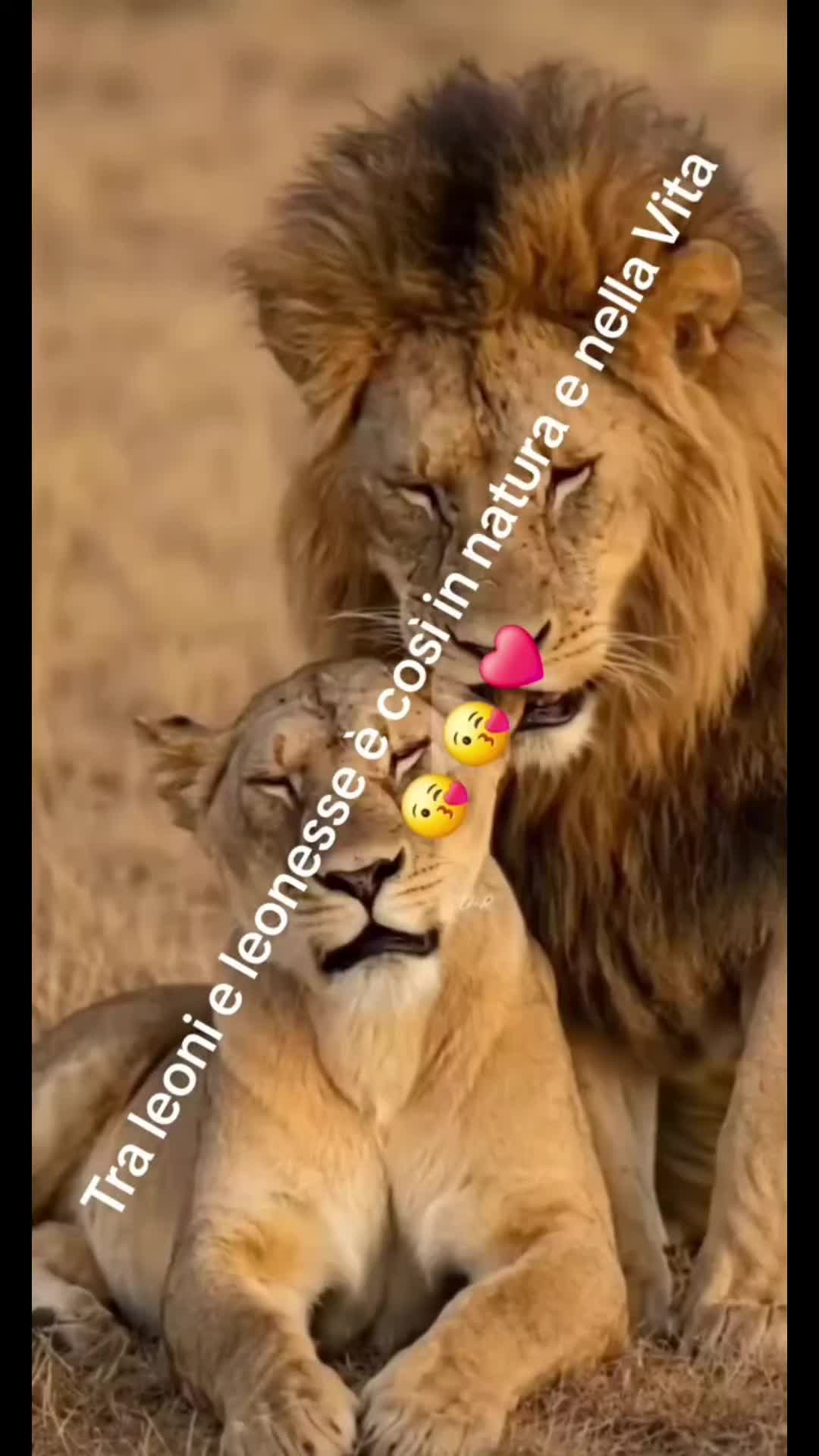 @AMmoscariello