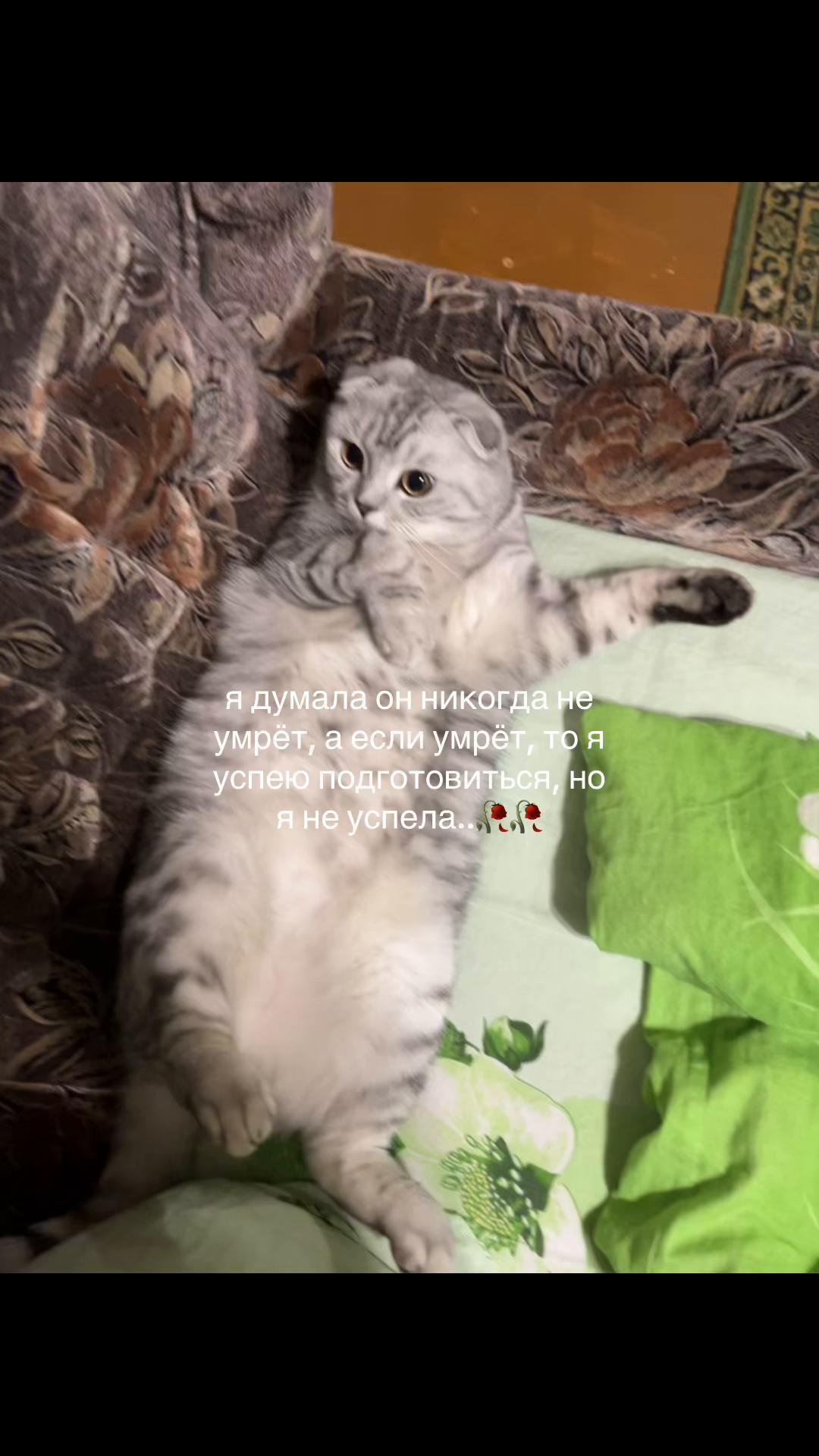 @๐๐๐๐๐๐๐๐