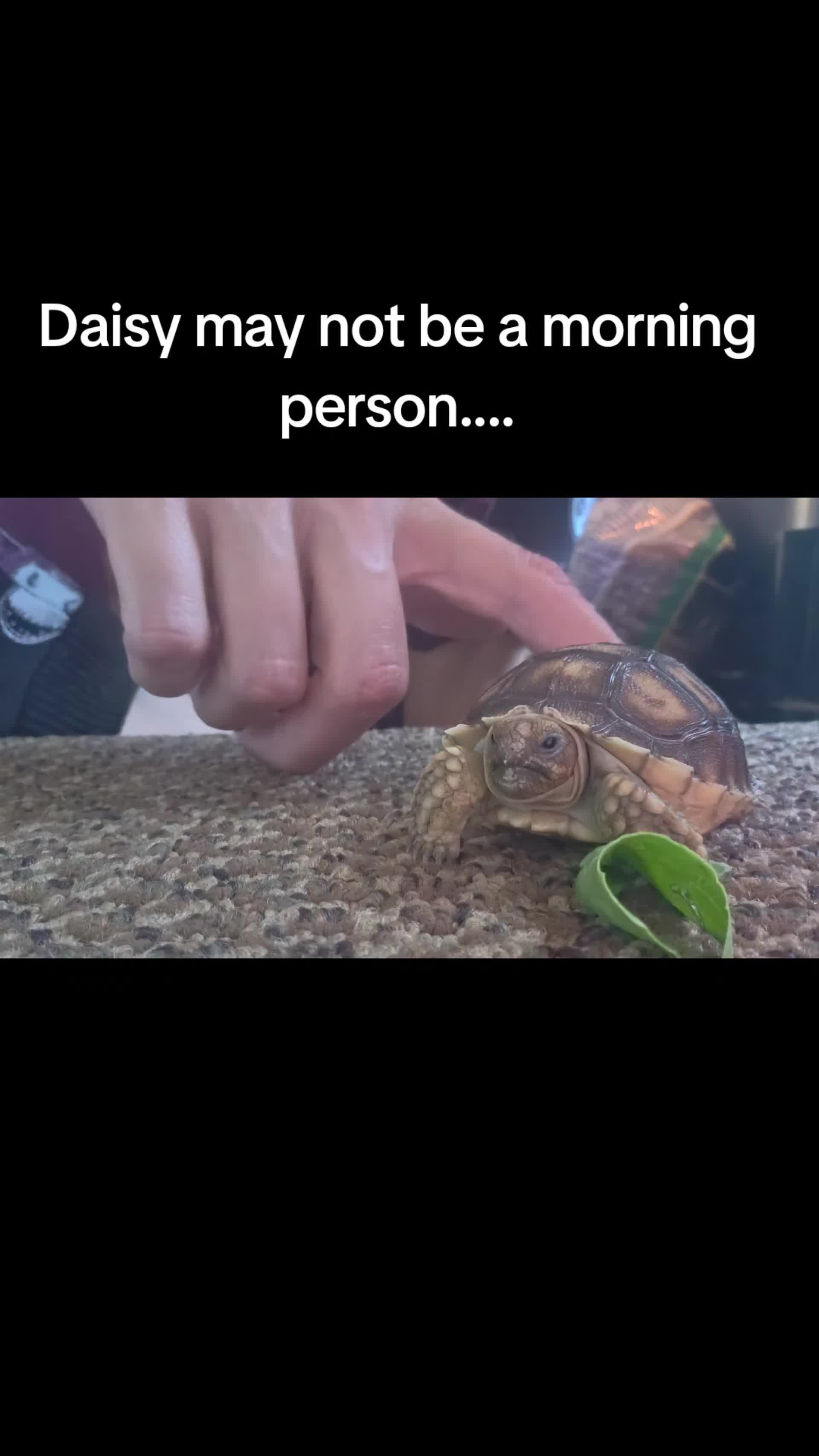 @Nicky Pickypoo