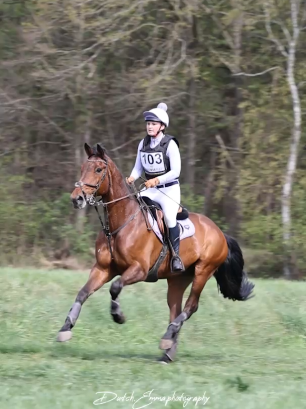 @Elegantia Horses