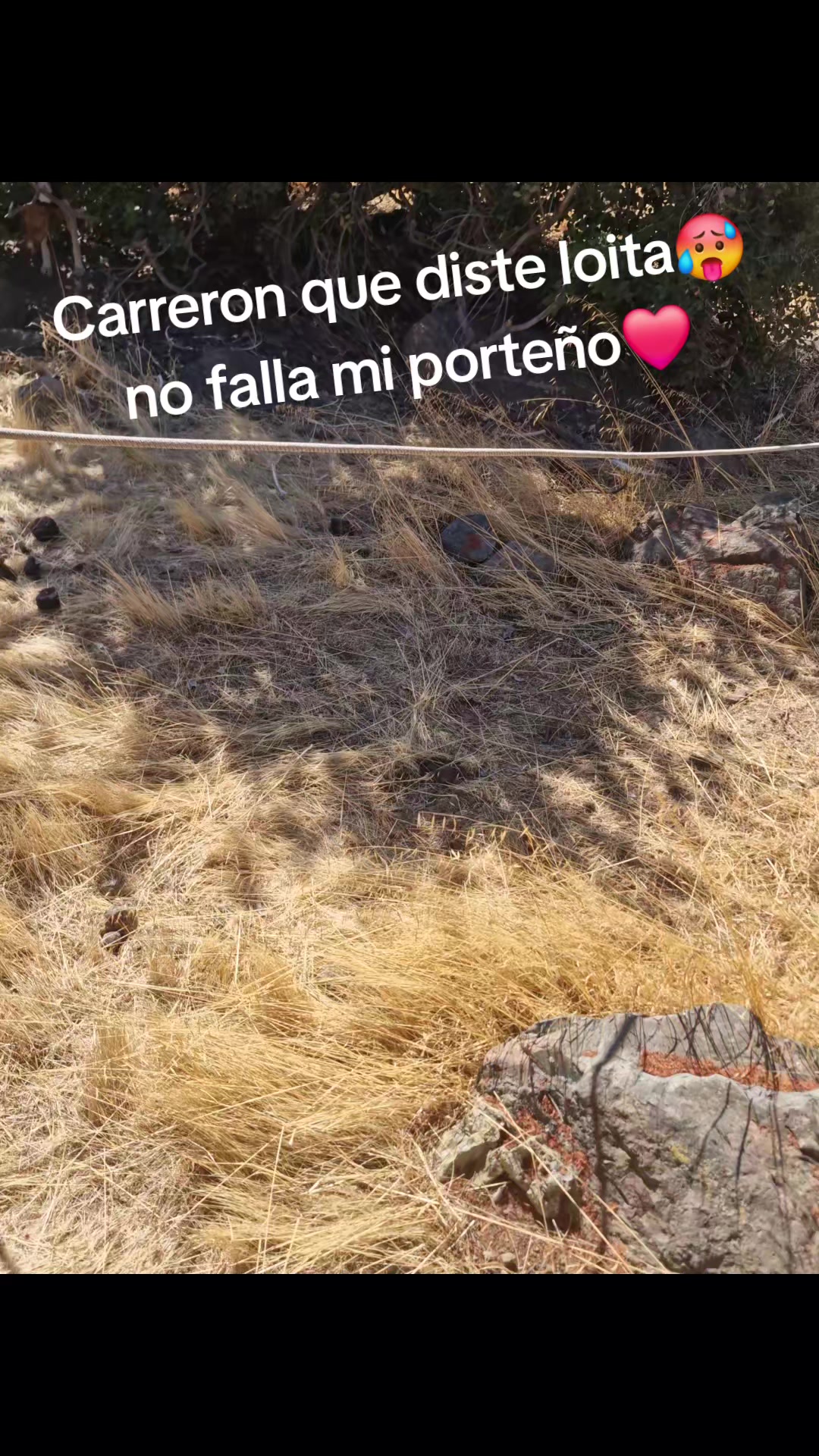@loko jordan