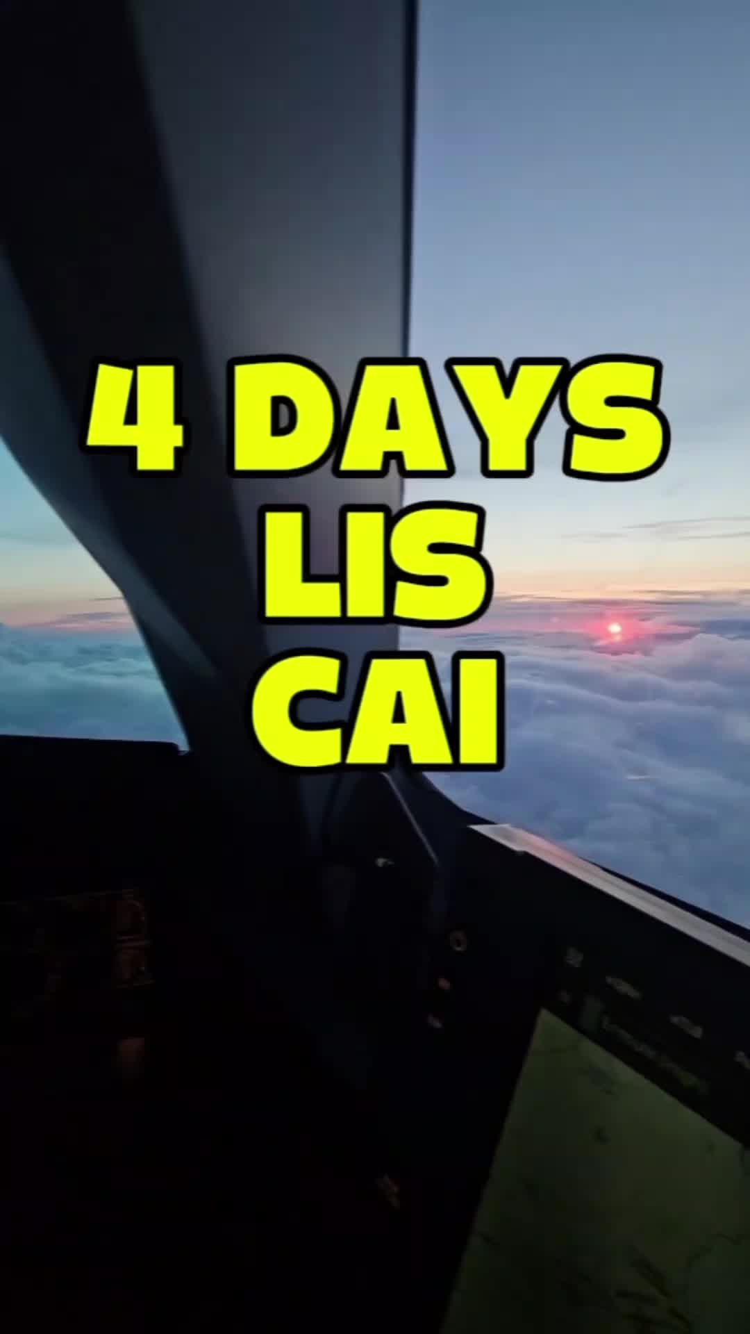 @pilot.flying_felix