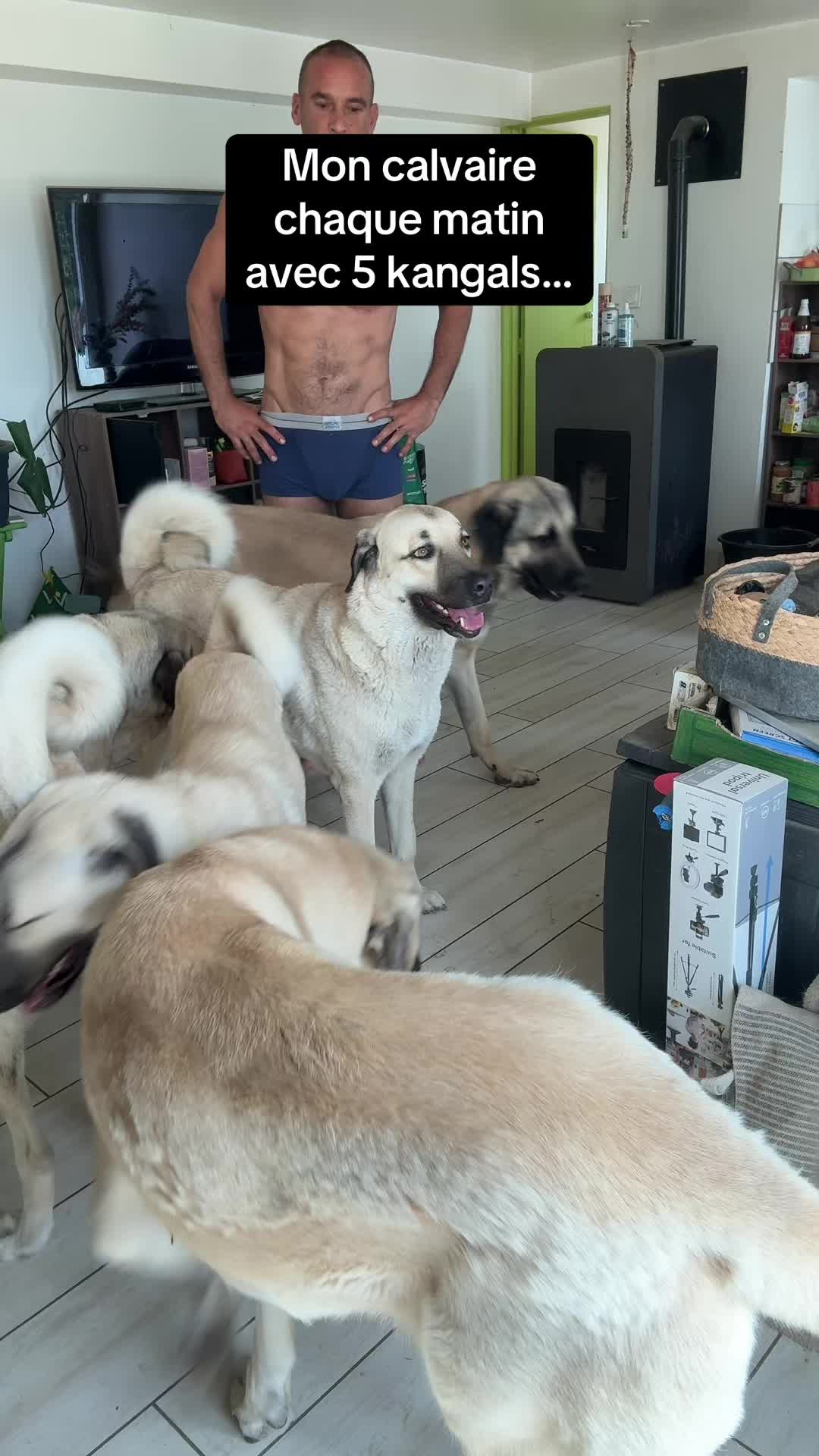 @Purekangal