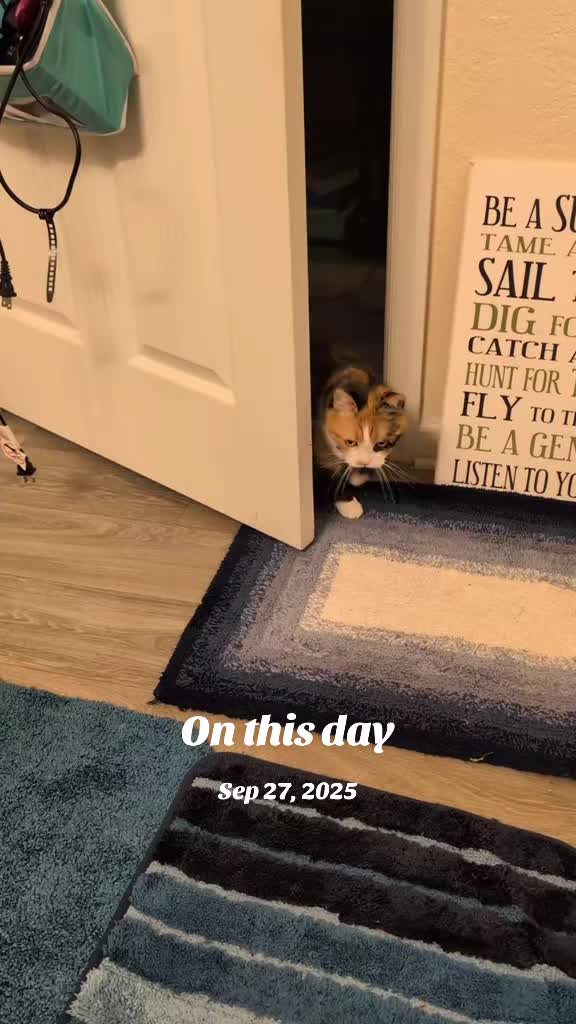 @CharlieDoingCharlieStuff