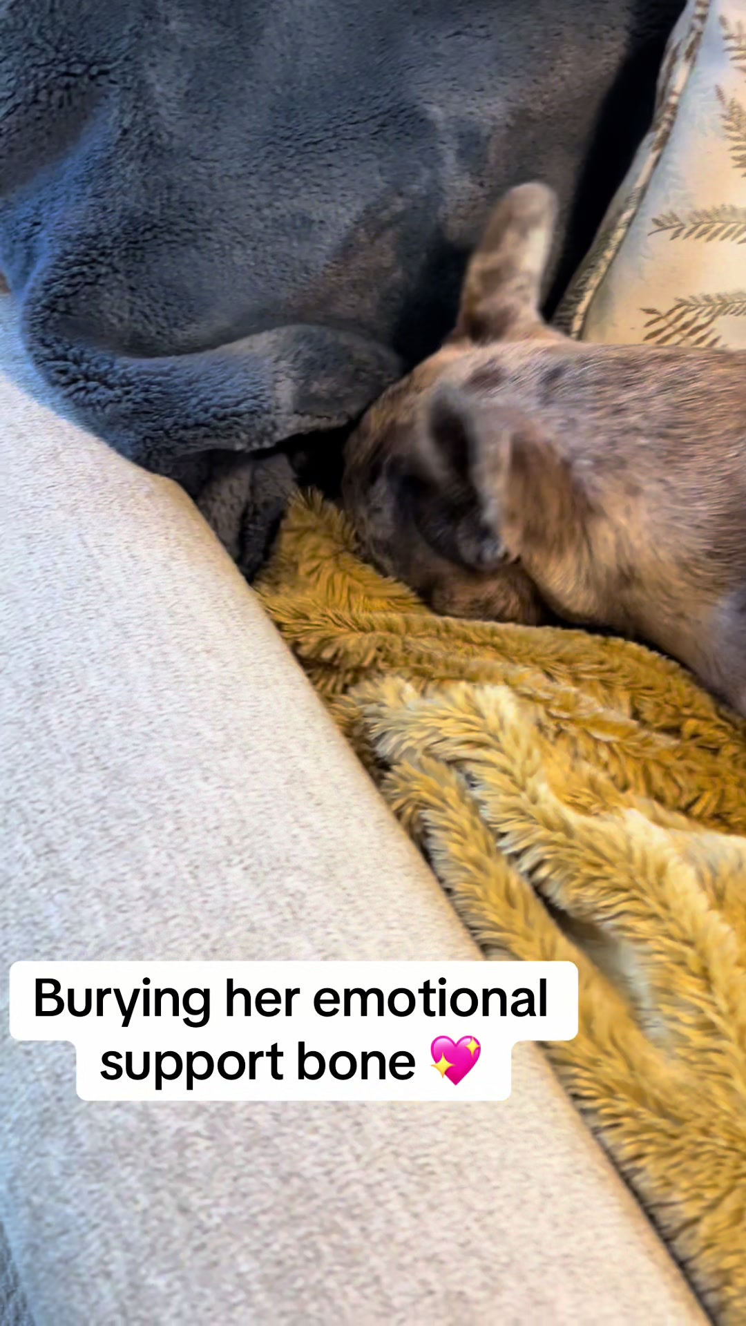 @Kiki