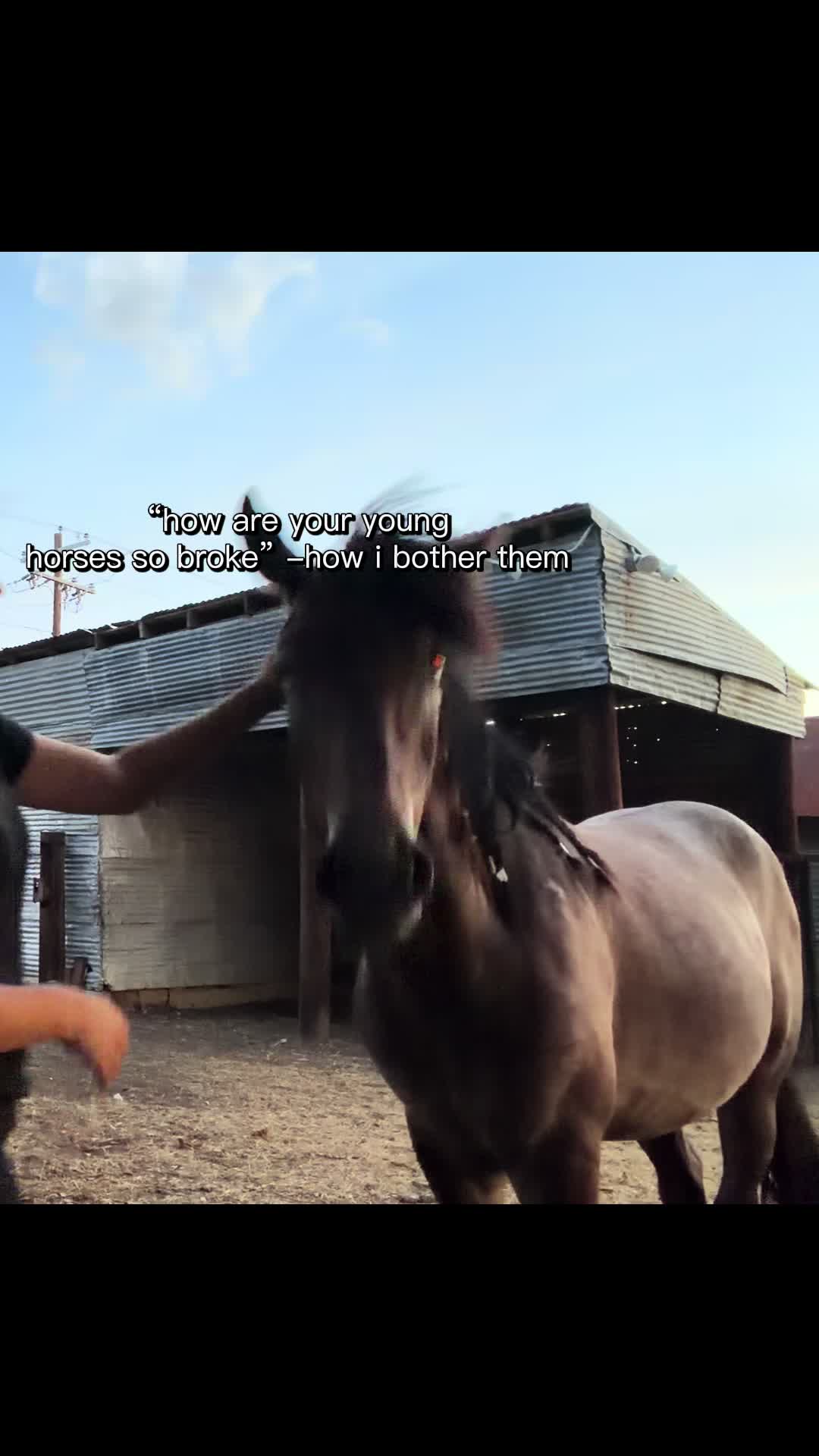 @Lyssa 💕🛢️