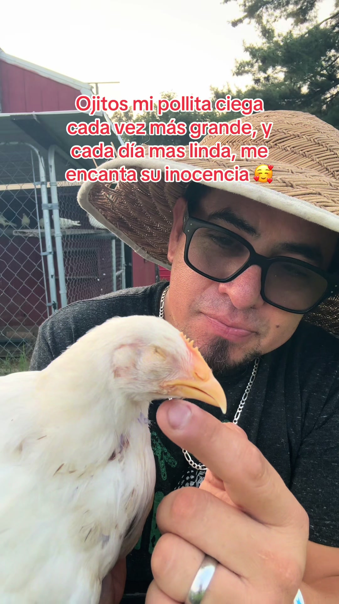 @WILSON DÍAZ