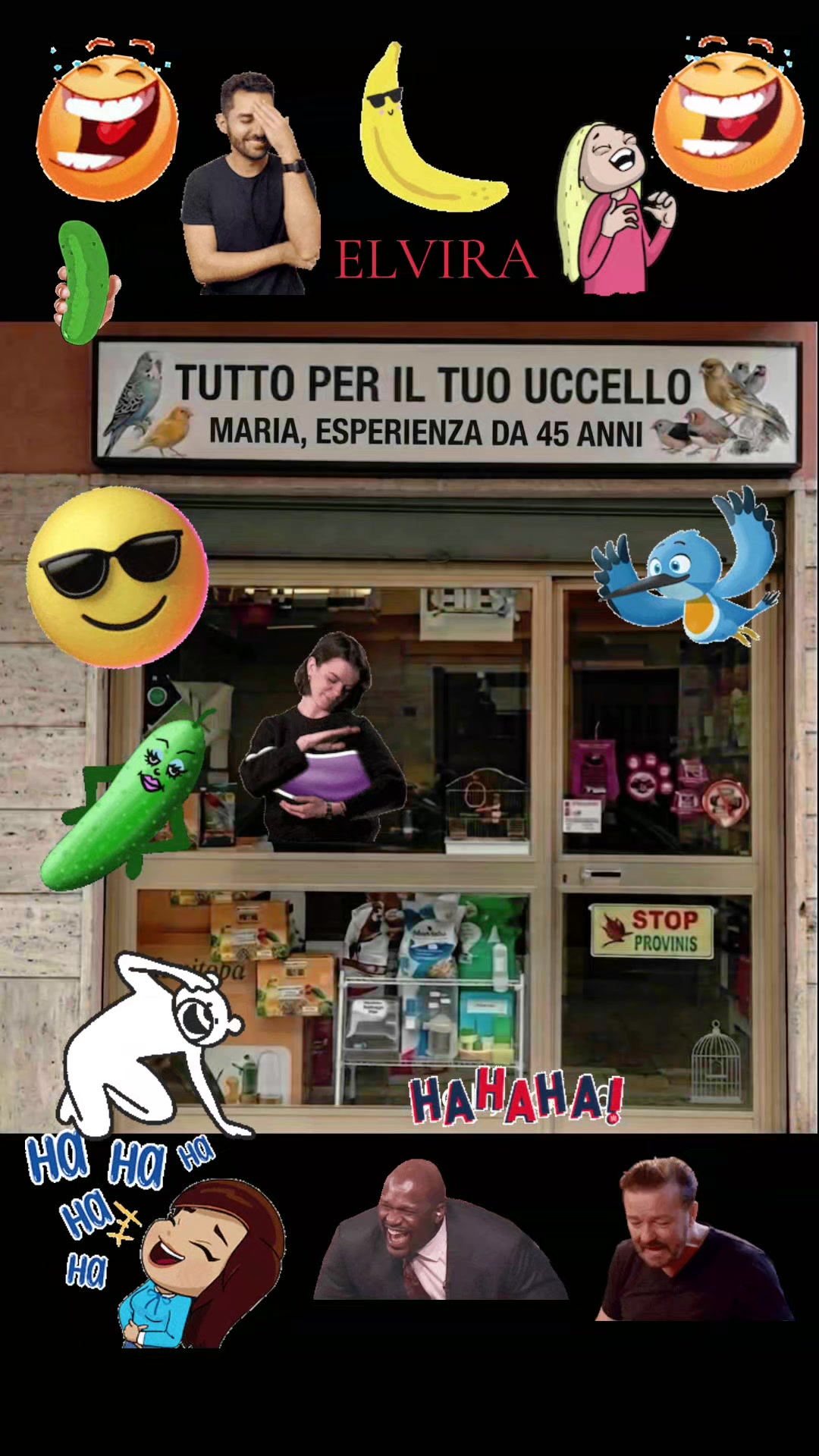 @Elvira Cellini