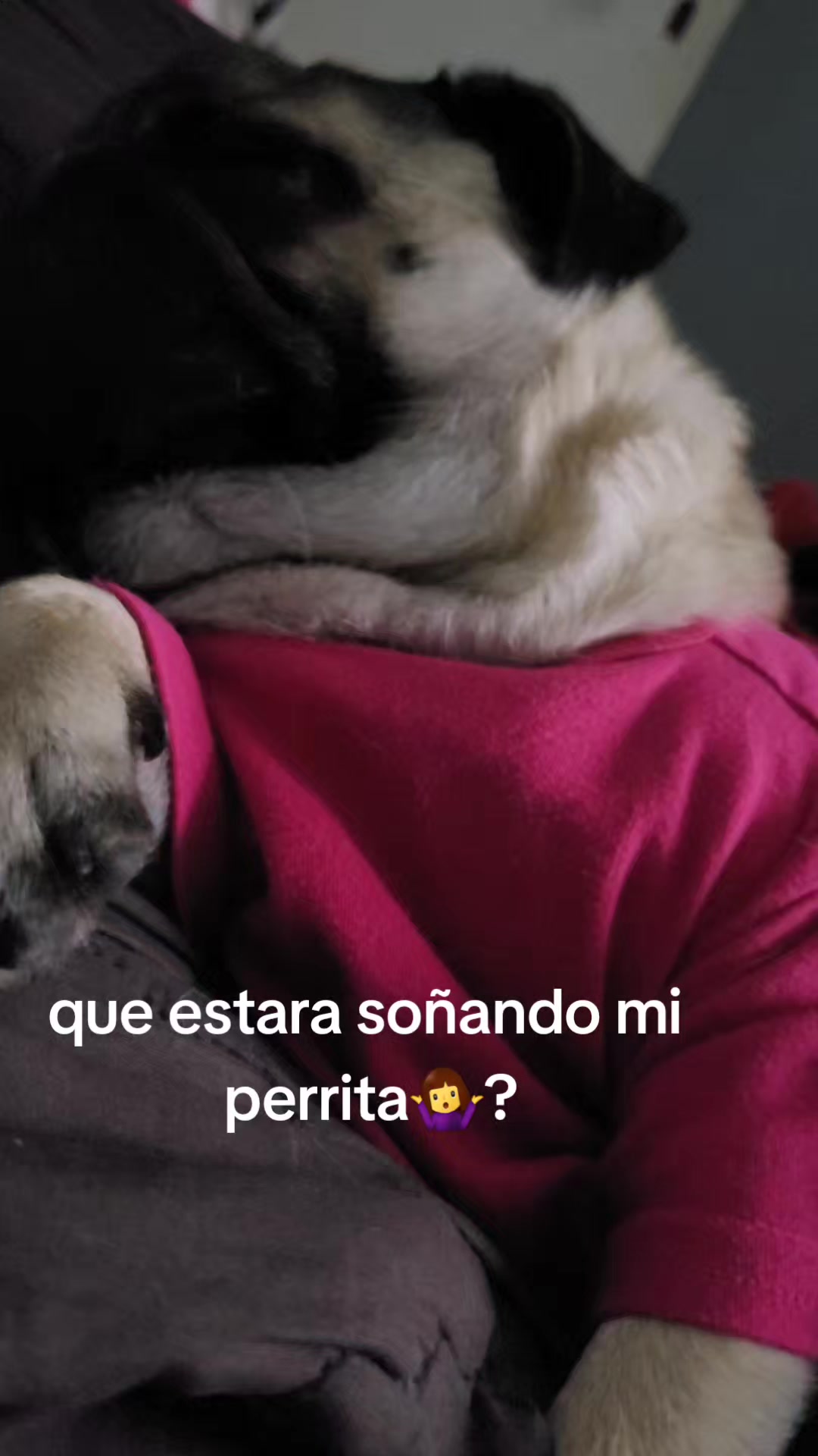 @melizabeth Verdugo