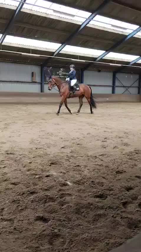 @equi_mandy
