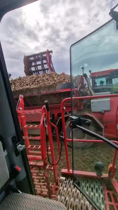 @#KrugTom