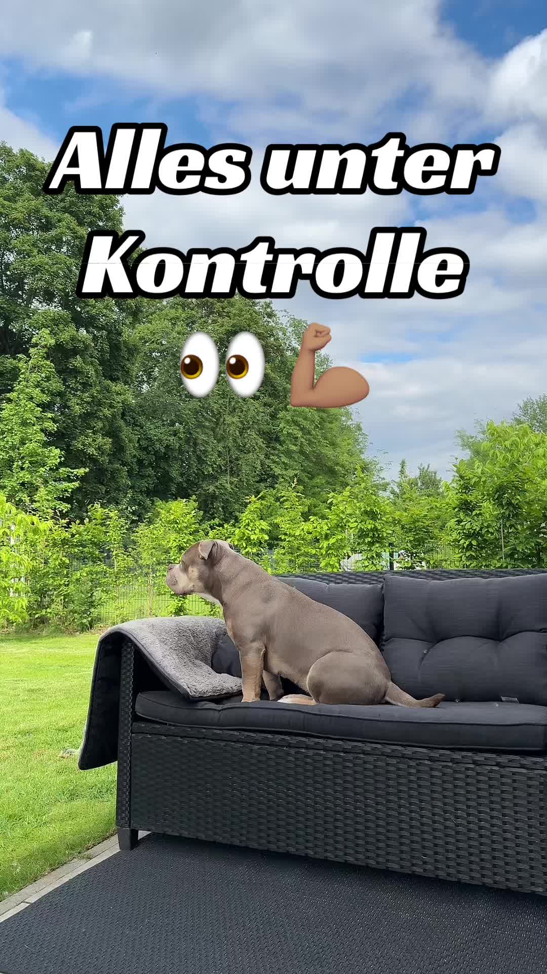 @Milly 🐶🥰