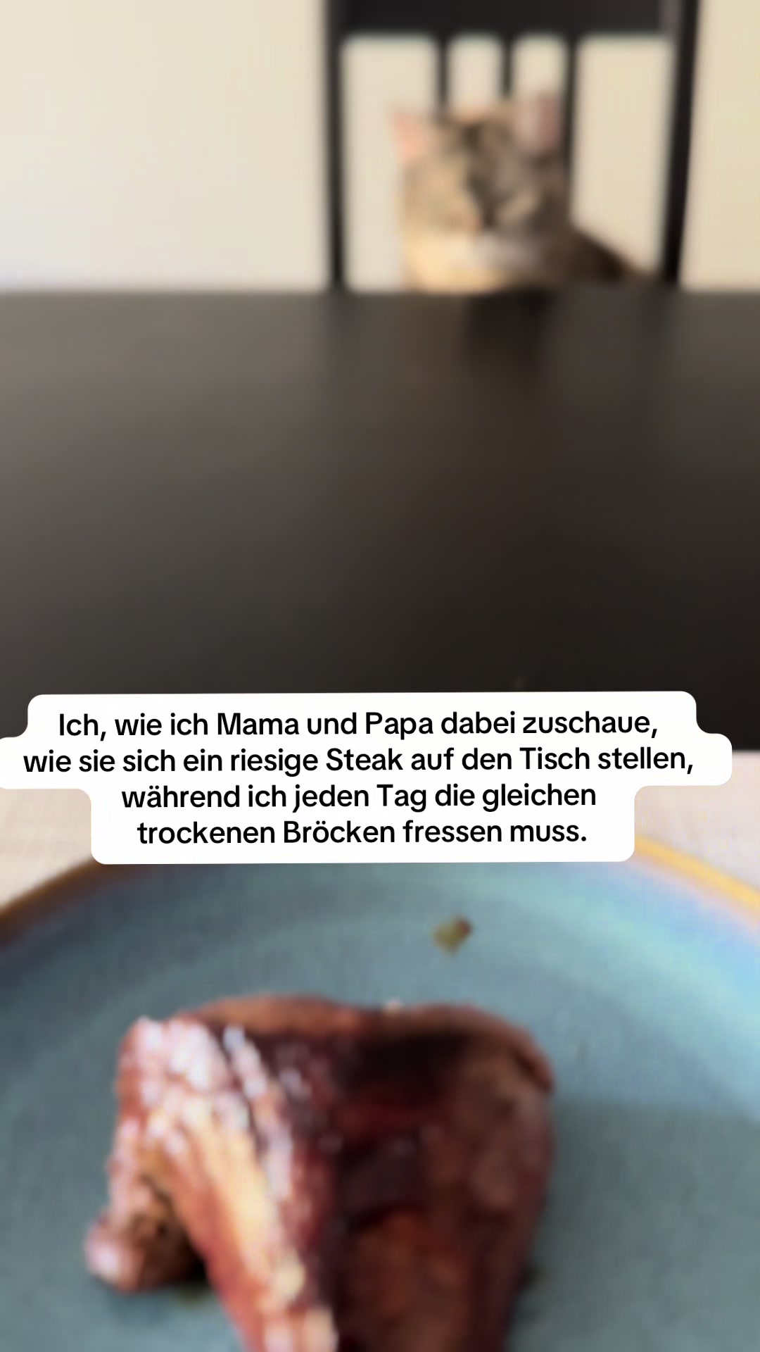 @Polly Zist