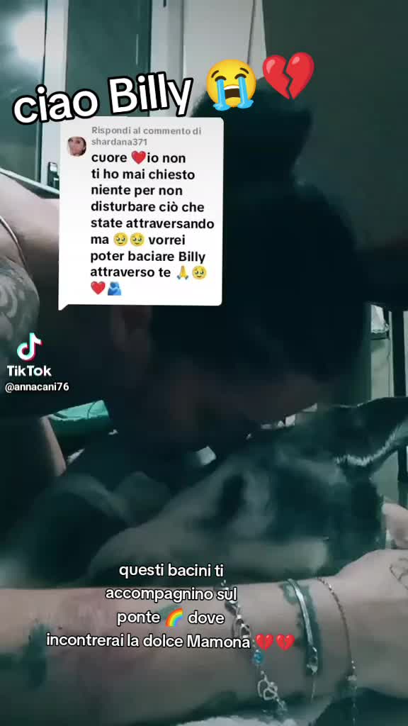 @♥️ POLLY ♥️