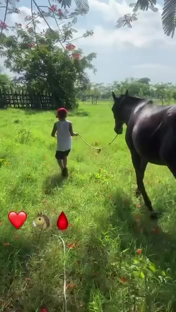 @elcorralejero