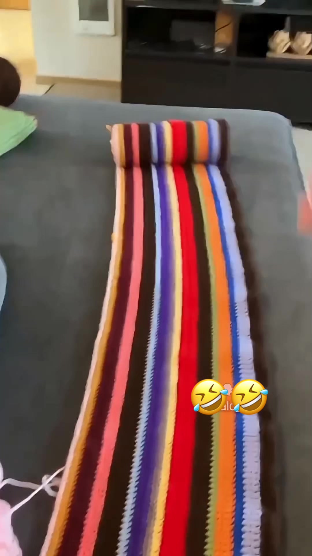 @Funny_pets