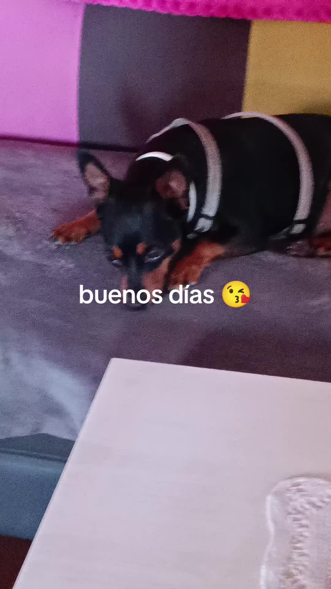 @Martín y Carlota