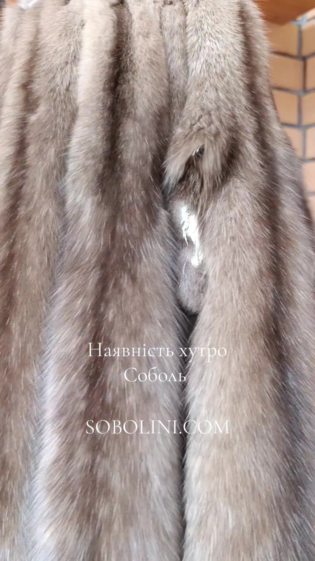 @SOBOLINI &trade;️