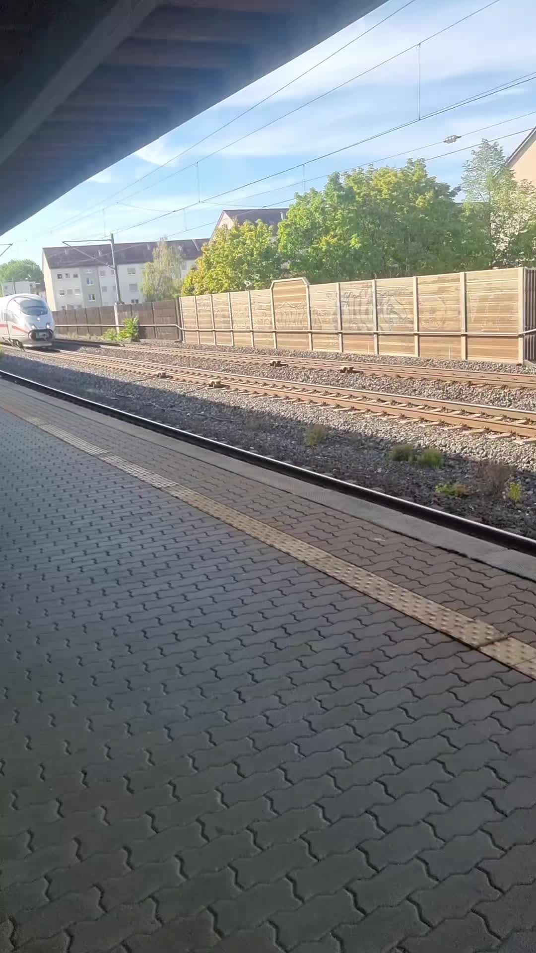 @Світлана🇺🇦/🇩🇪