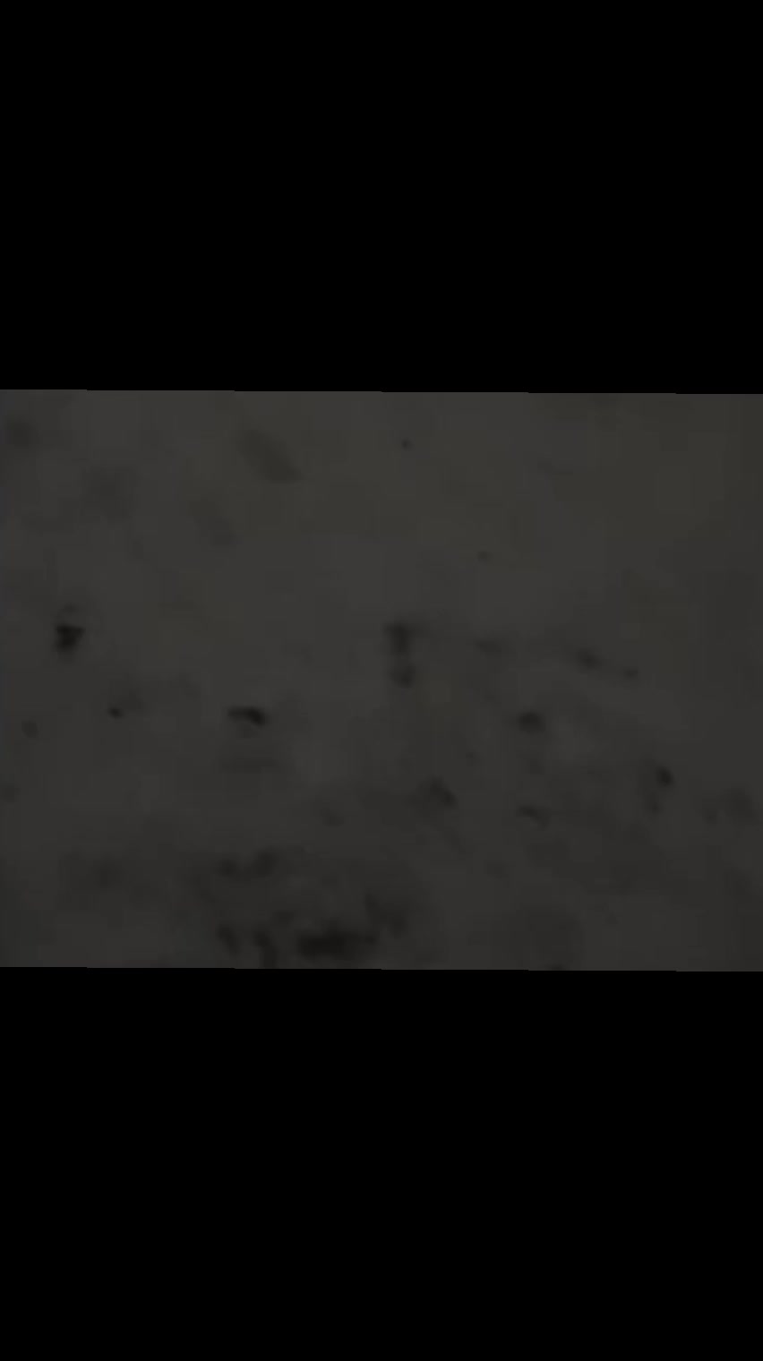 @listwizzz