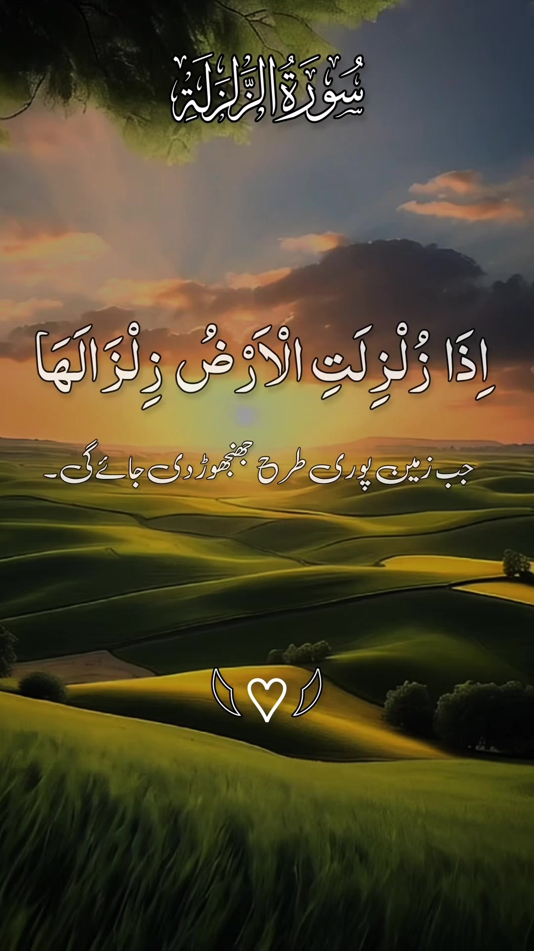 @❣️ Words of Allah ❣️