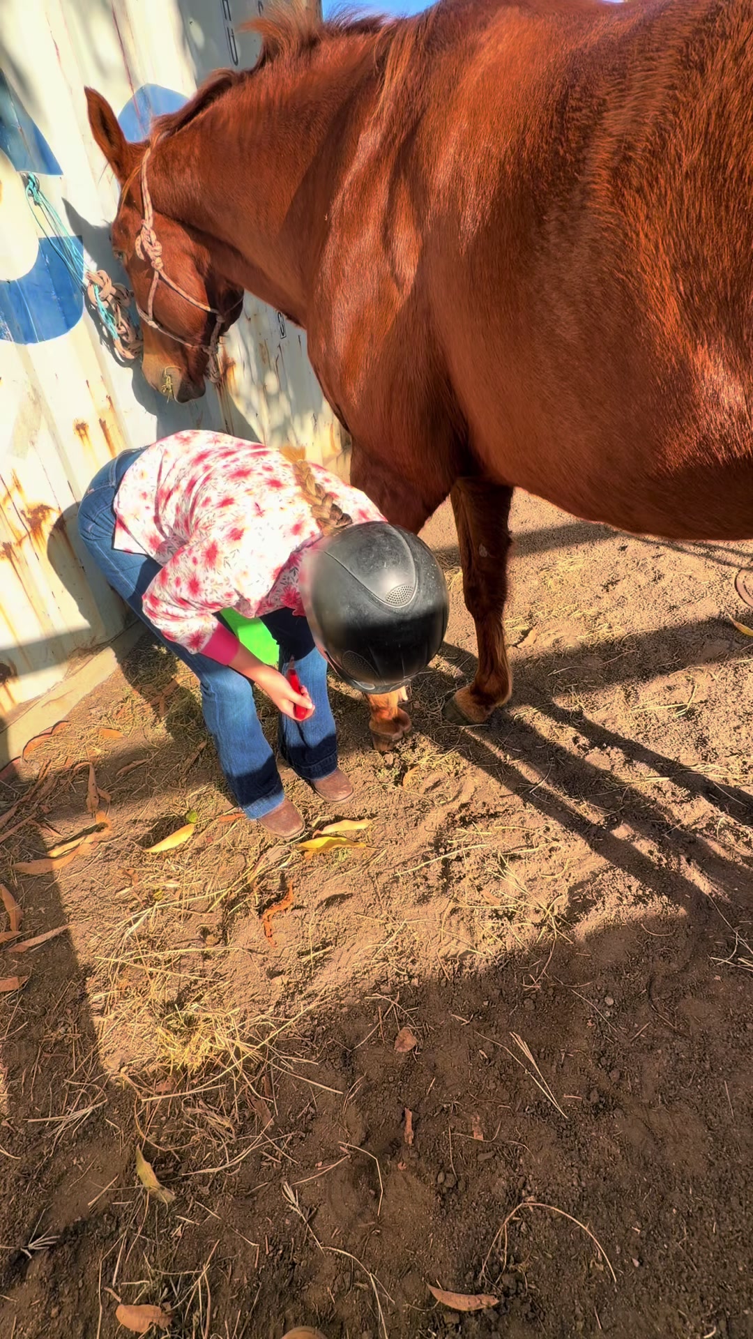 @Stable Connection