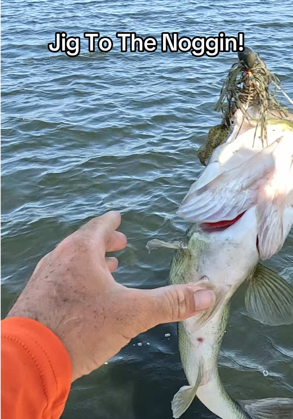 @evan_whitefishing