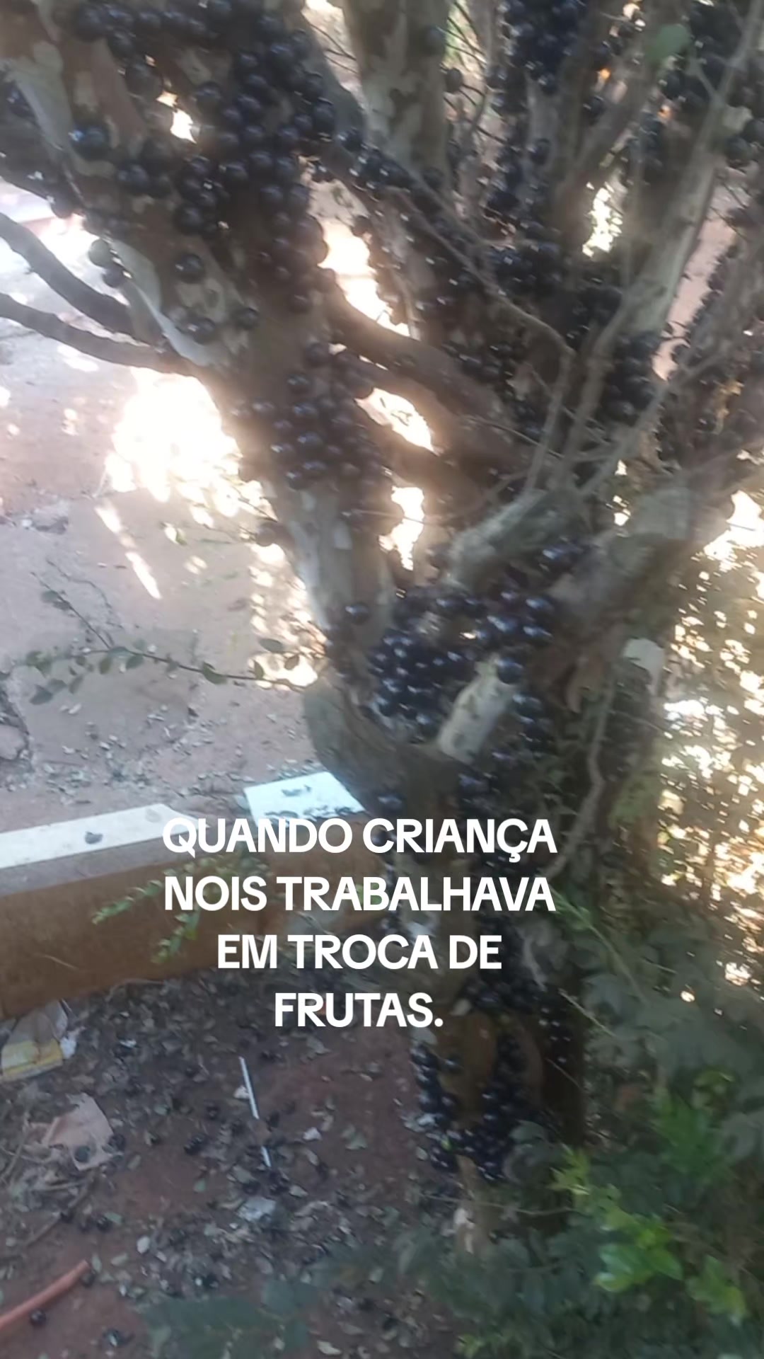 @RICARDO SILVA(GOIANO) 5151